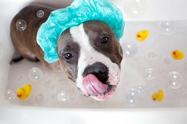 Free Bath