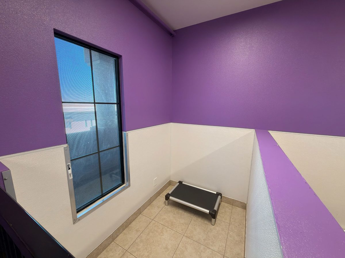 Mini Suite