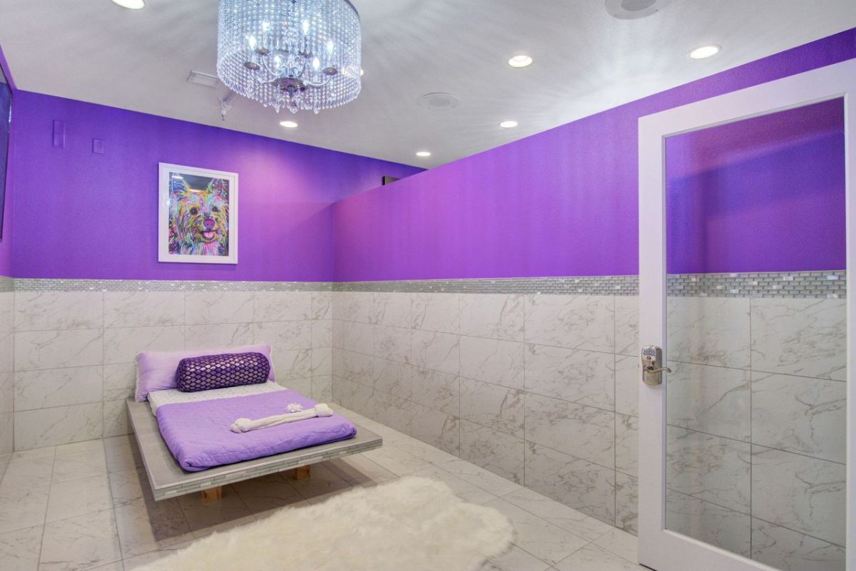 Pawhouse Suite