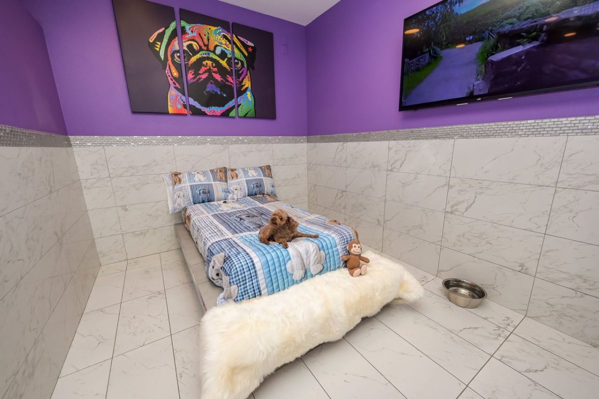 Pawhouse Suite