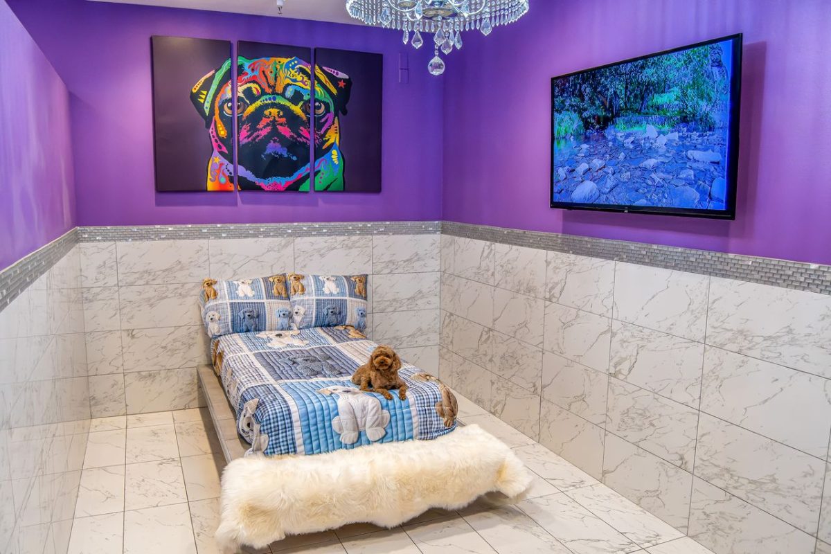 Pawhouse Suite