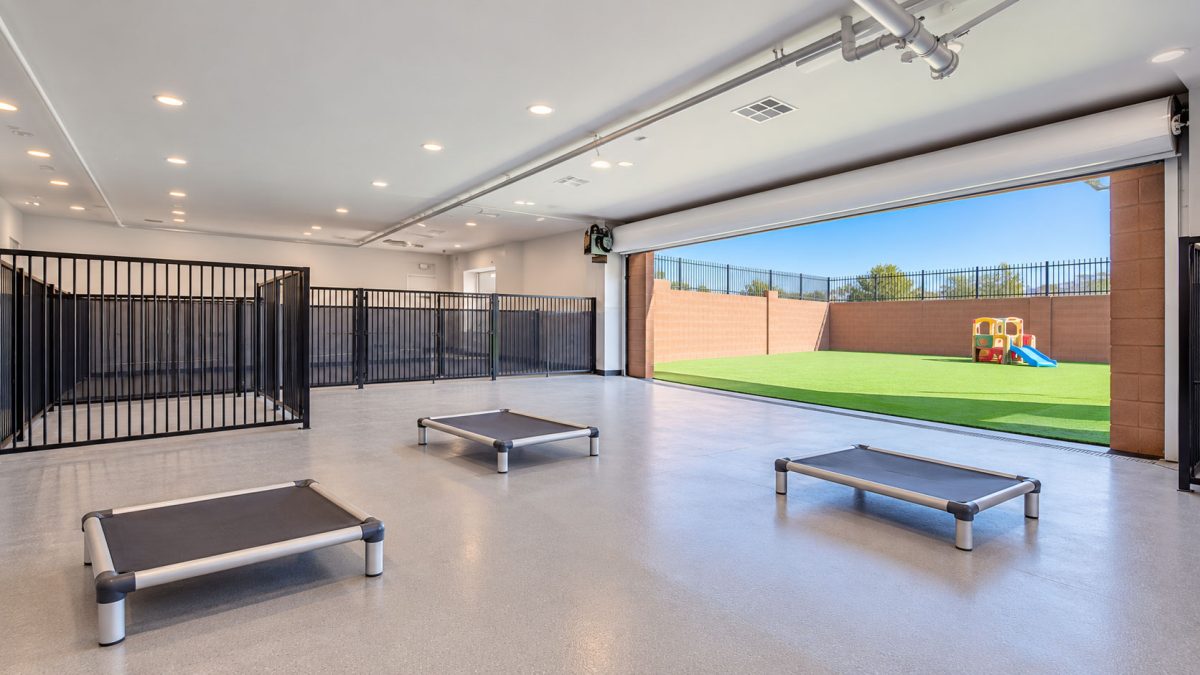 Dog Daycare
