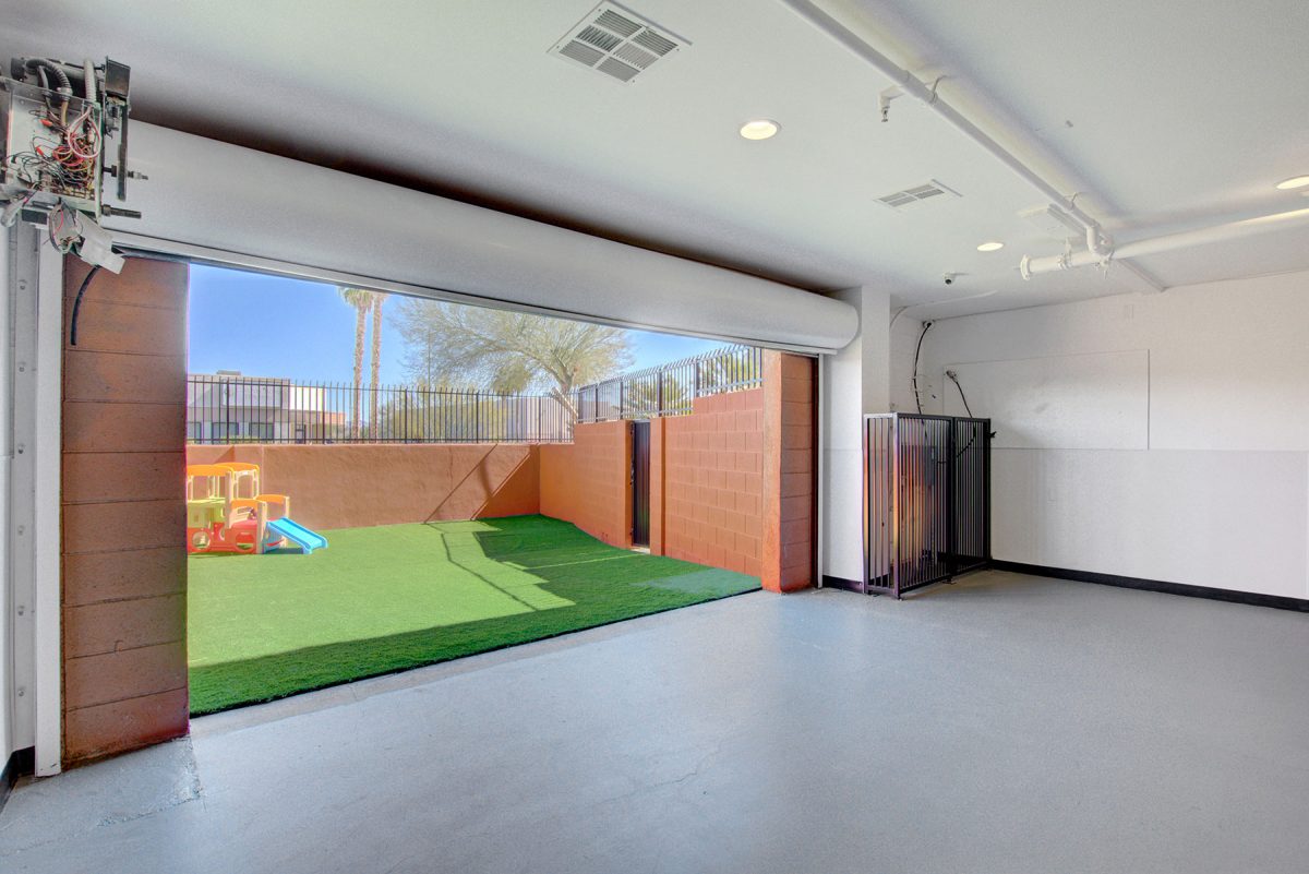 Dog Daycare