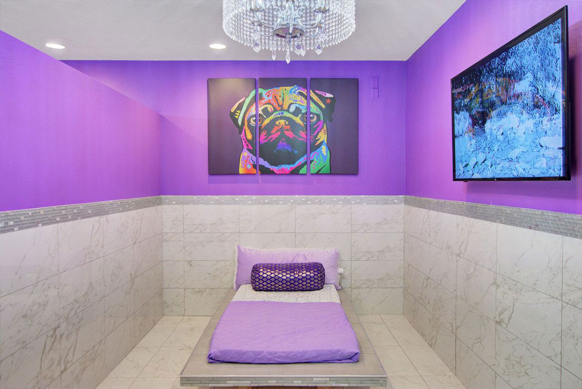 Pawhouse Suite