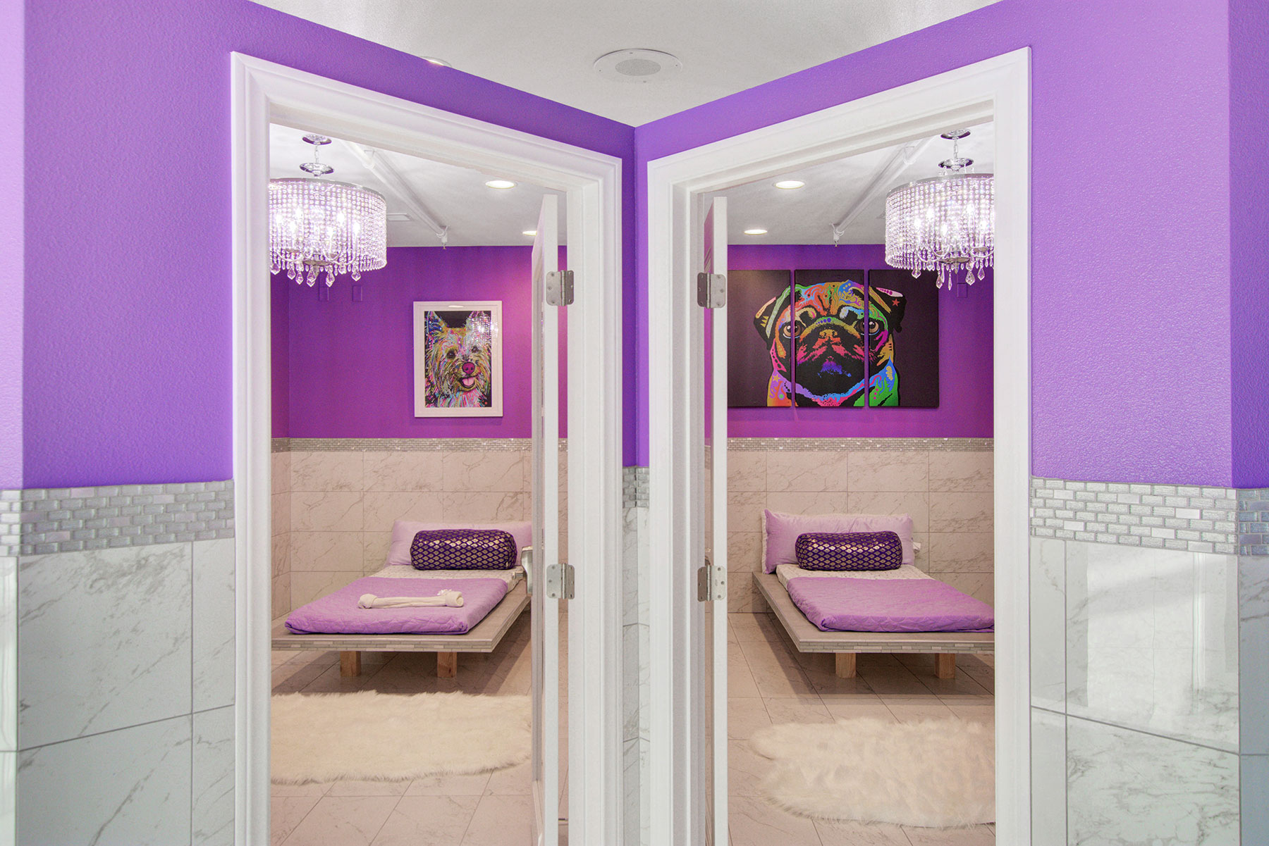 Mini Suite